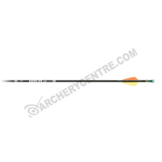 Carbon Express Nano-XR shaft